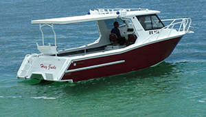 Gold Star<br>Pressed Plate Boats